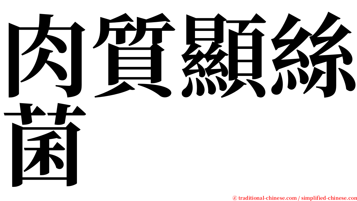 肉質顯絲菌 serif font