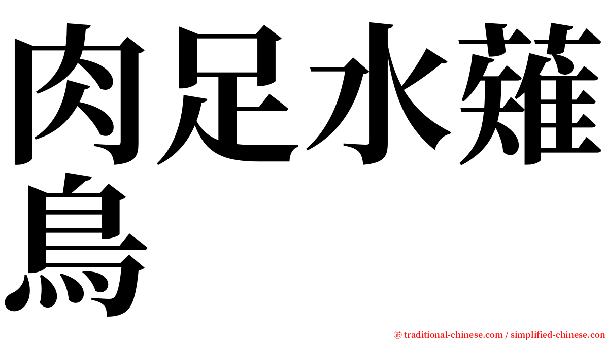 肉足水薙鳥 serif font