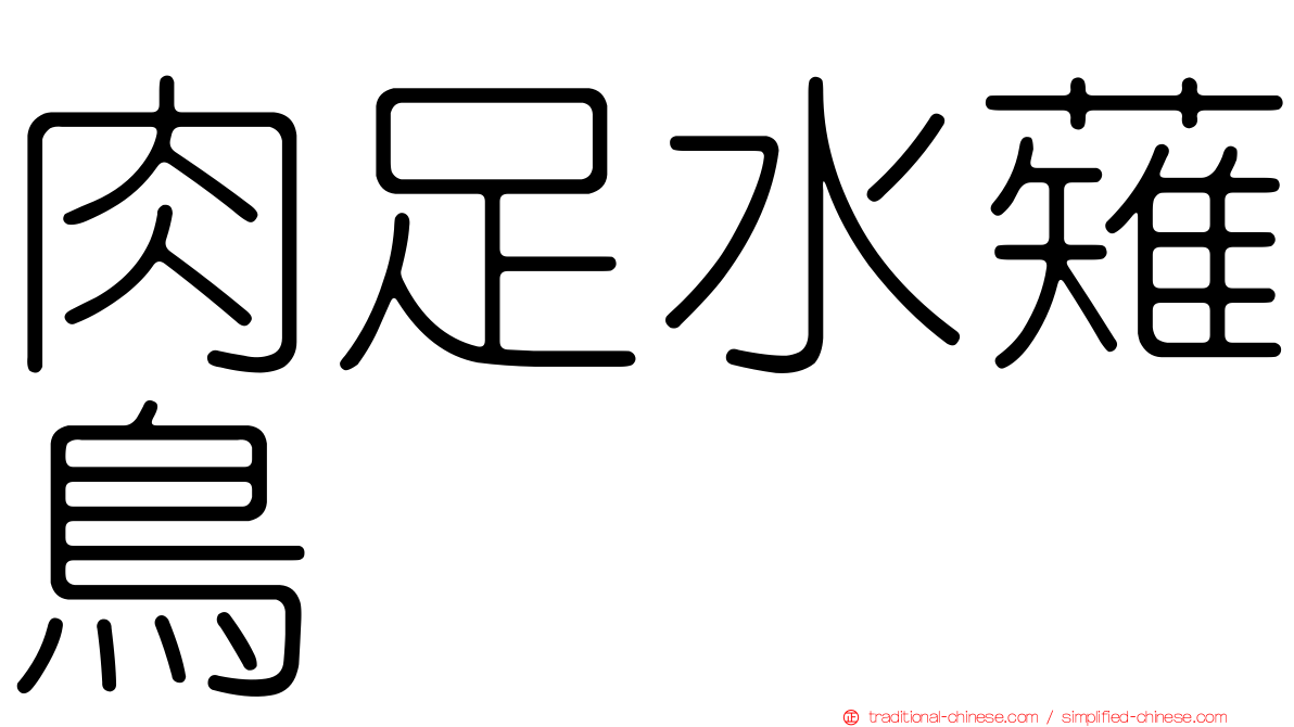 肉足水薙鳥