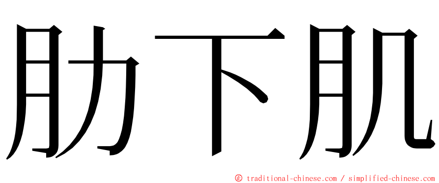 肋下肌 ming font