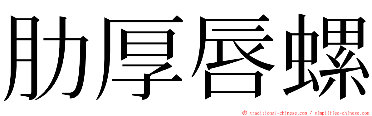 肋厚唇螺 ming font