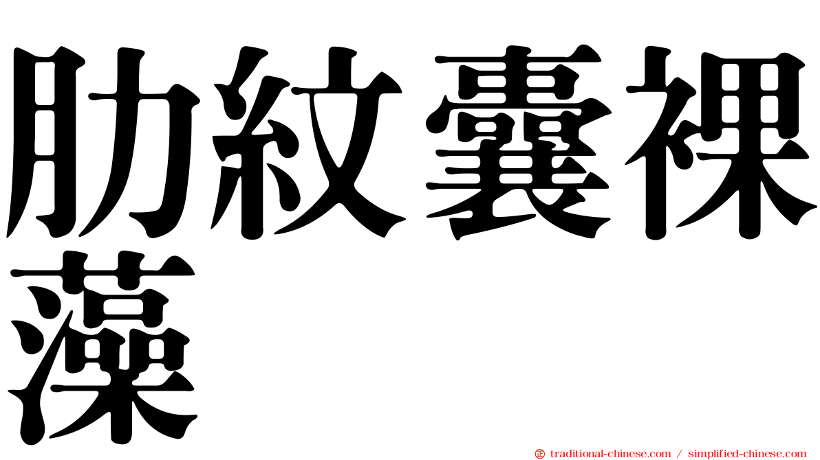肋紋囊裸藻