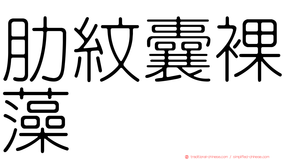 肋紋囊裸藻