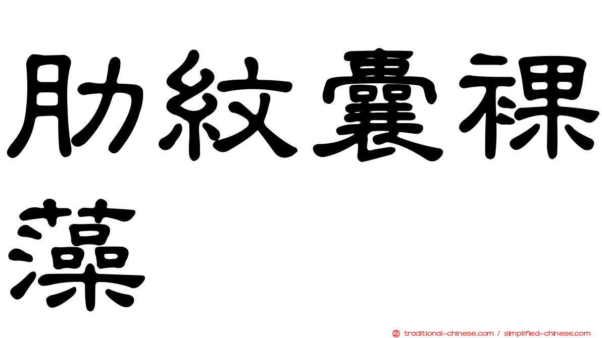 肋紋囊裸藻