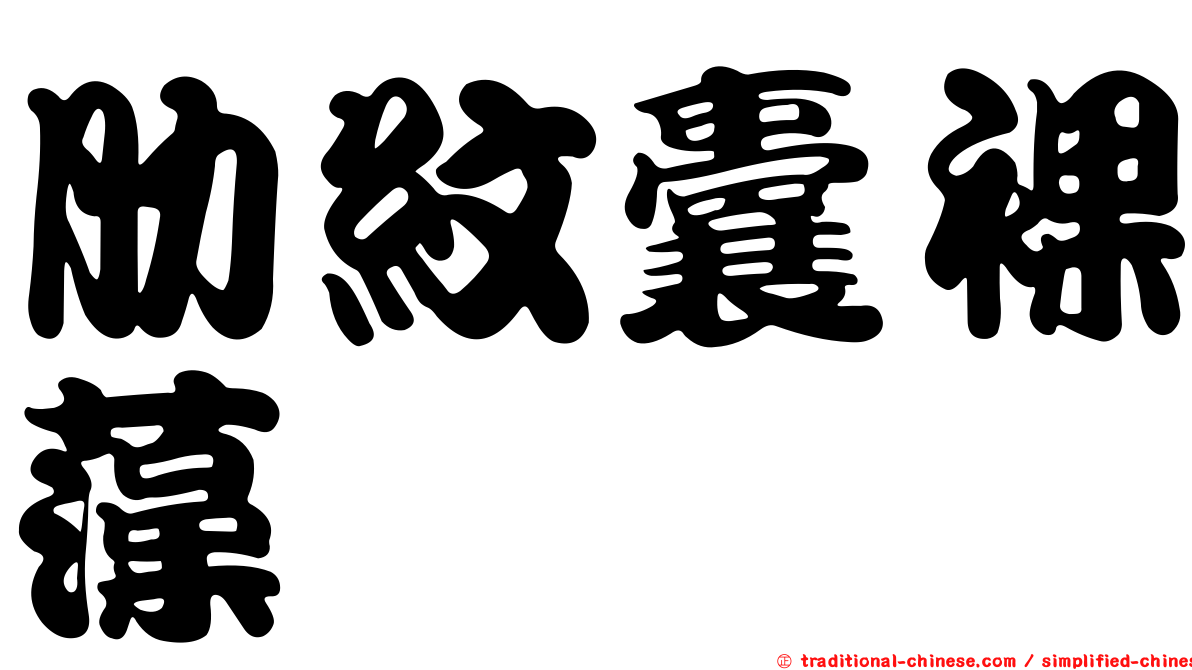 肋紋囊裸藻