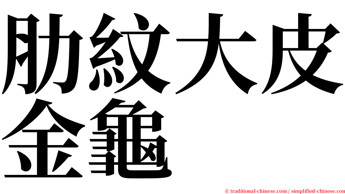 肋紋大皮金龜 serif font