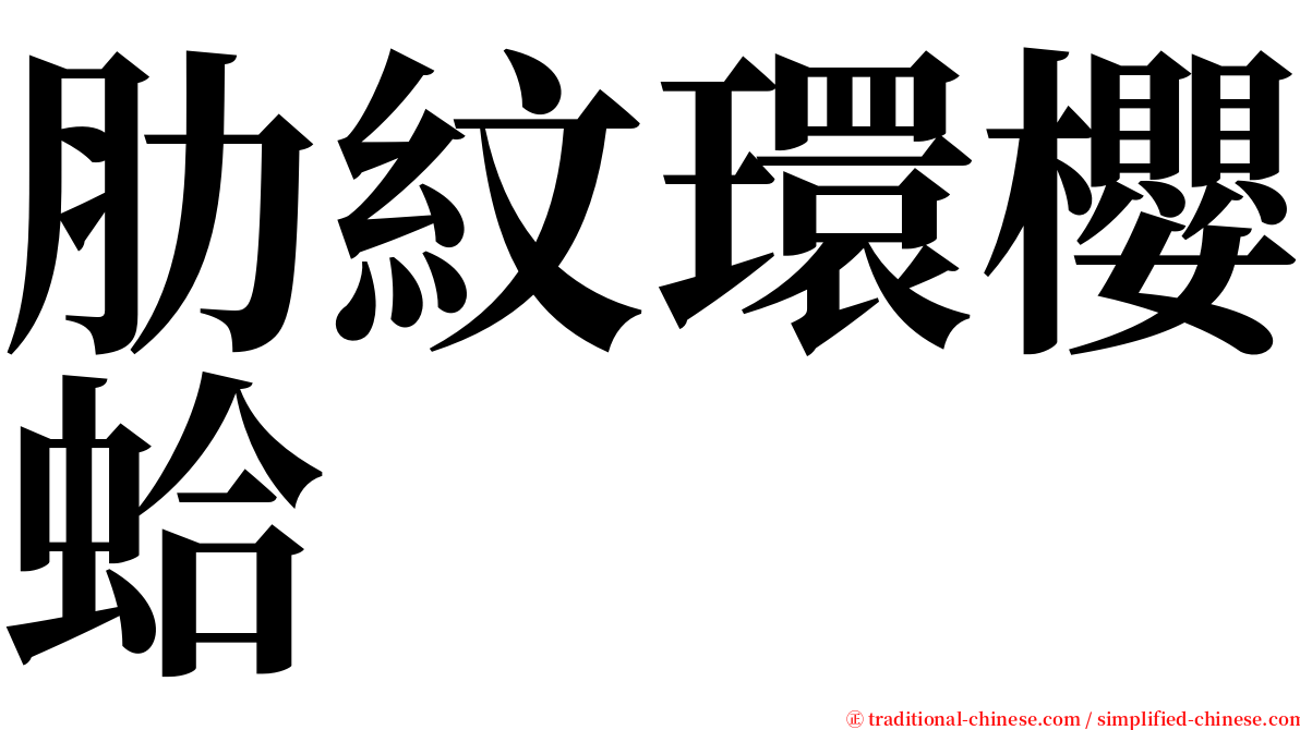 肋紋環櫻蛤 serif font