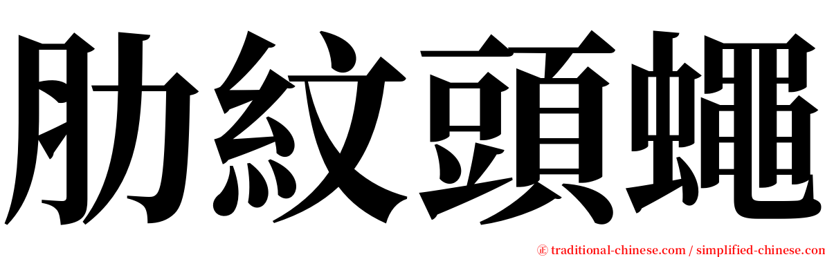 肋紋頭蠅 serif font