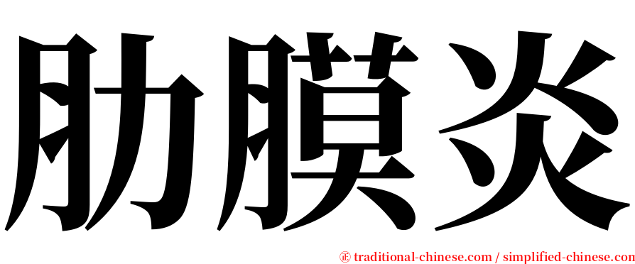 肋膜炎 serif font