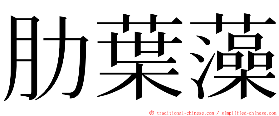 肋葉藻 ming font