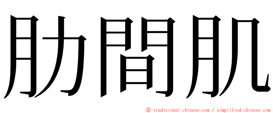 肋間肌 ming font