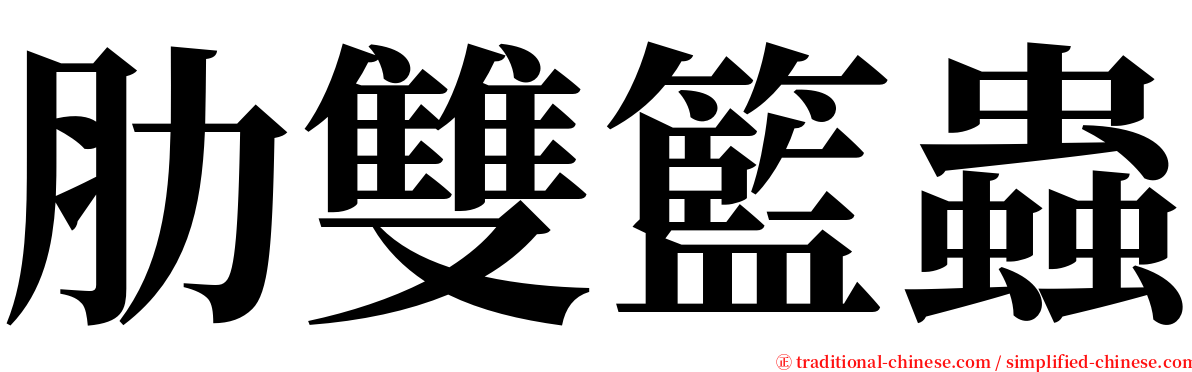 肋雙籃蟲 serif font