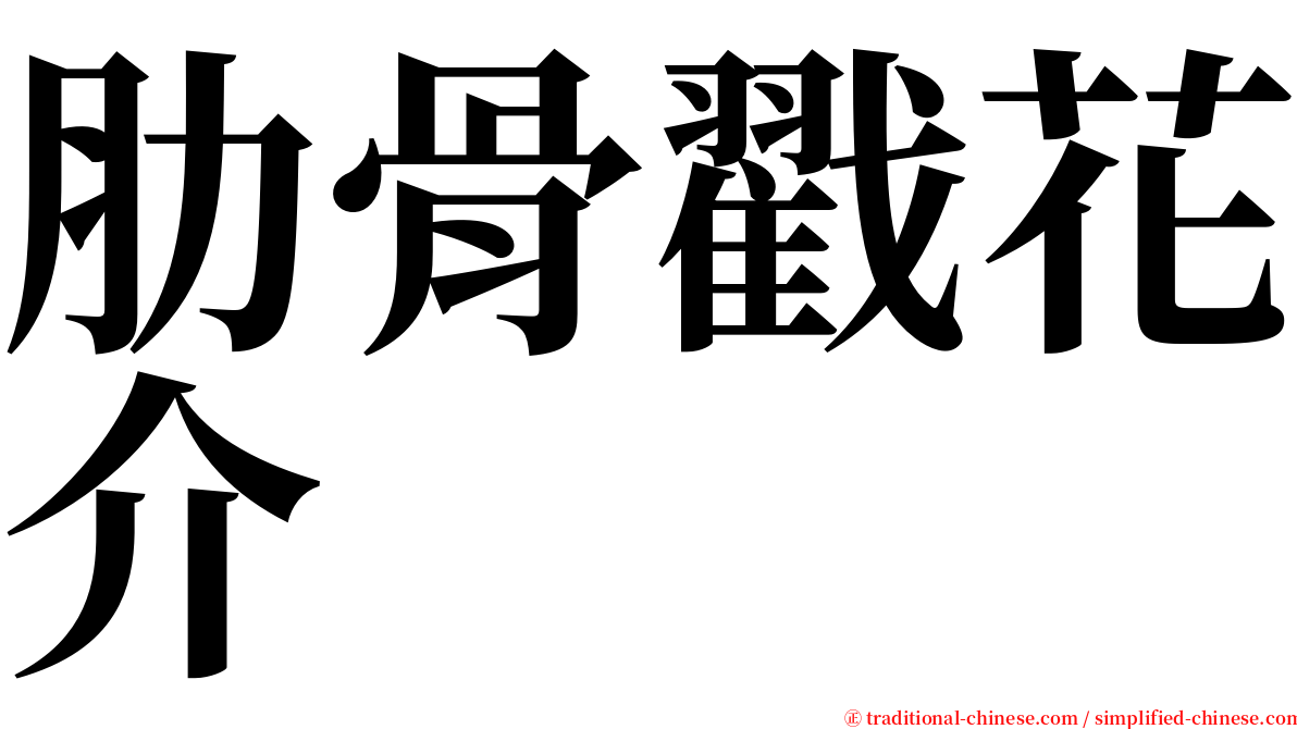 肋骨戳花介 serif font