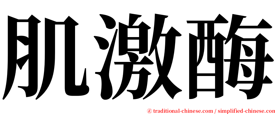 肌激酶 serif font