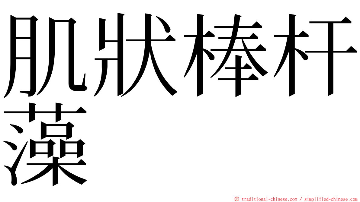 肌狀棒杆藻 ming font