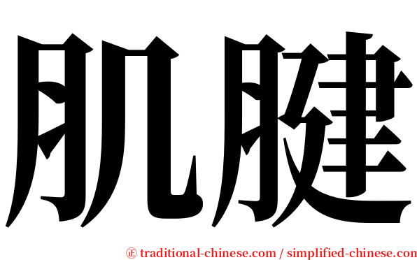 肌腱 serif font