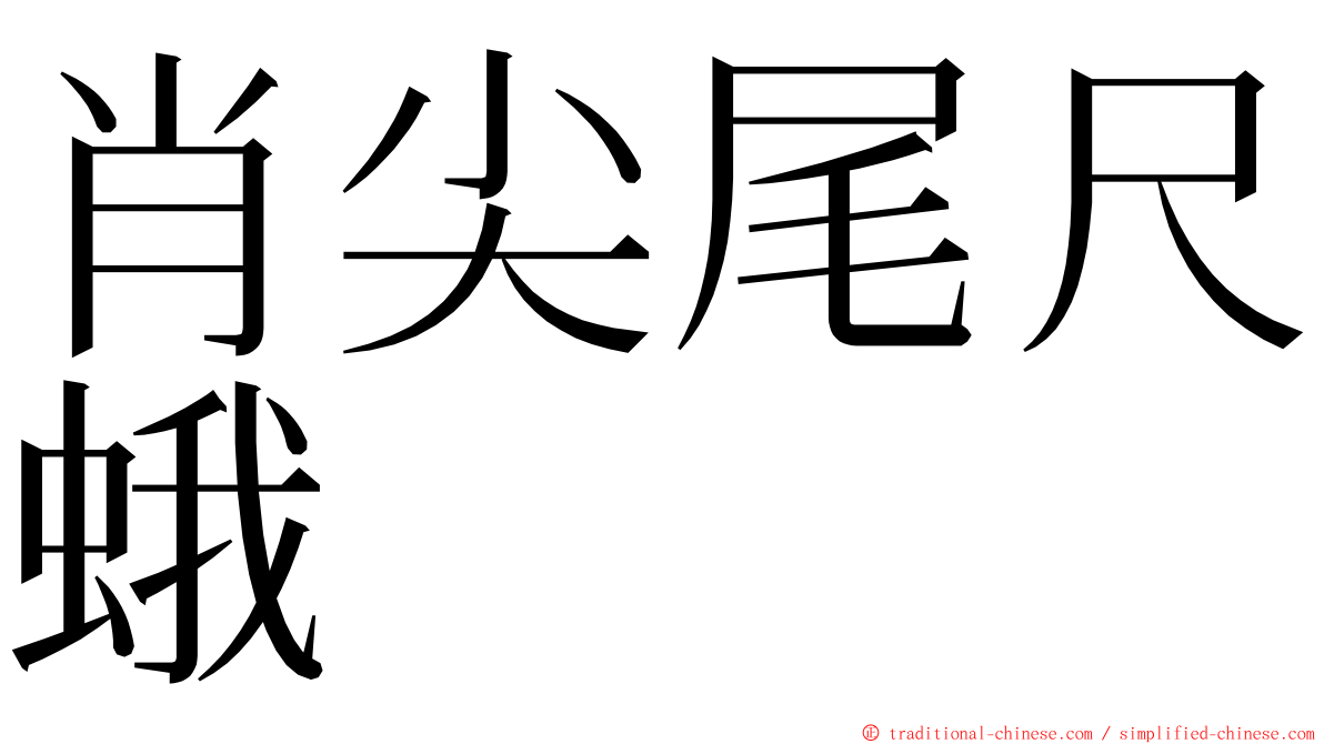 肖尖尾尺蛾 ming font