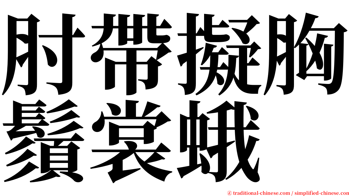 肘帶擬胸鬚裳蛾 serif font