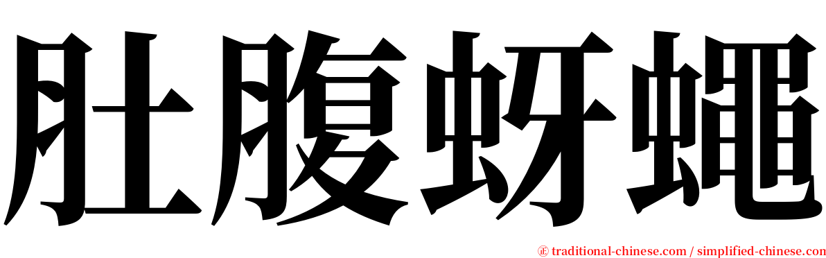 肚腹蚜蠅 serif font