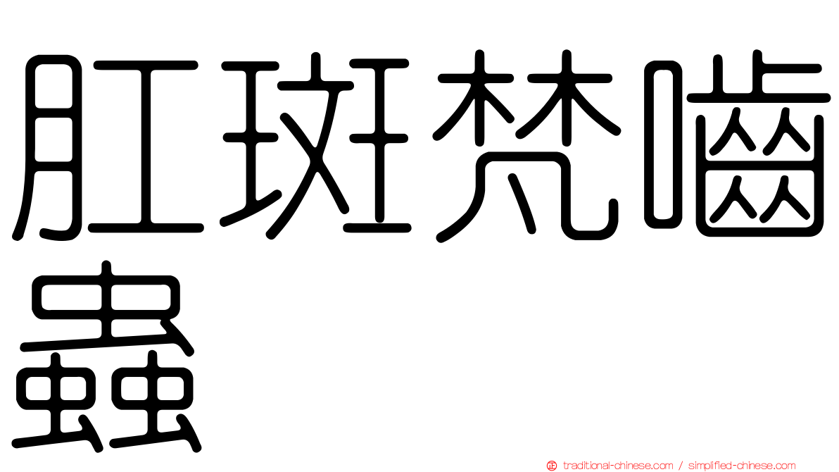 肛斑梵嚙蟲