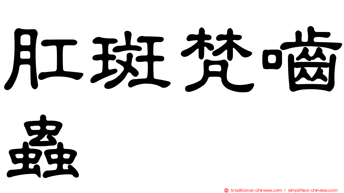 肛斑梵嚙蟲