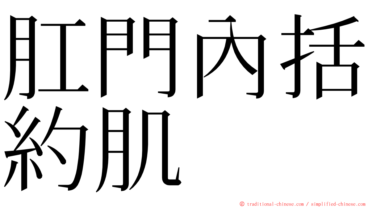 肛門內括約肌 ming font