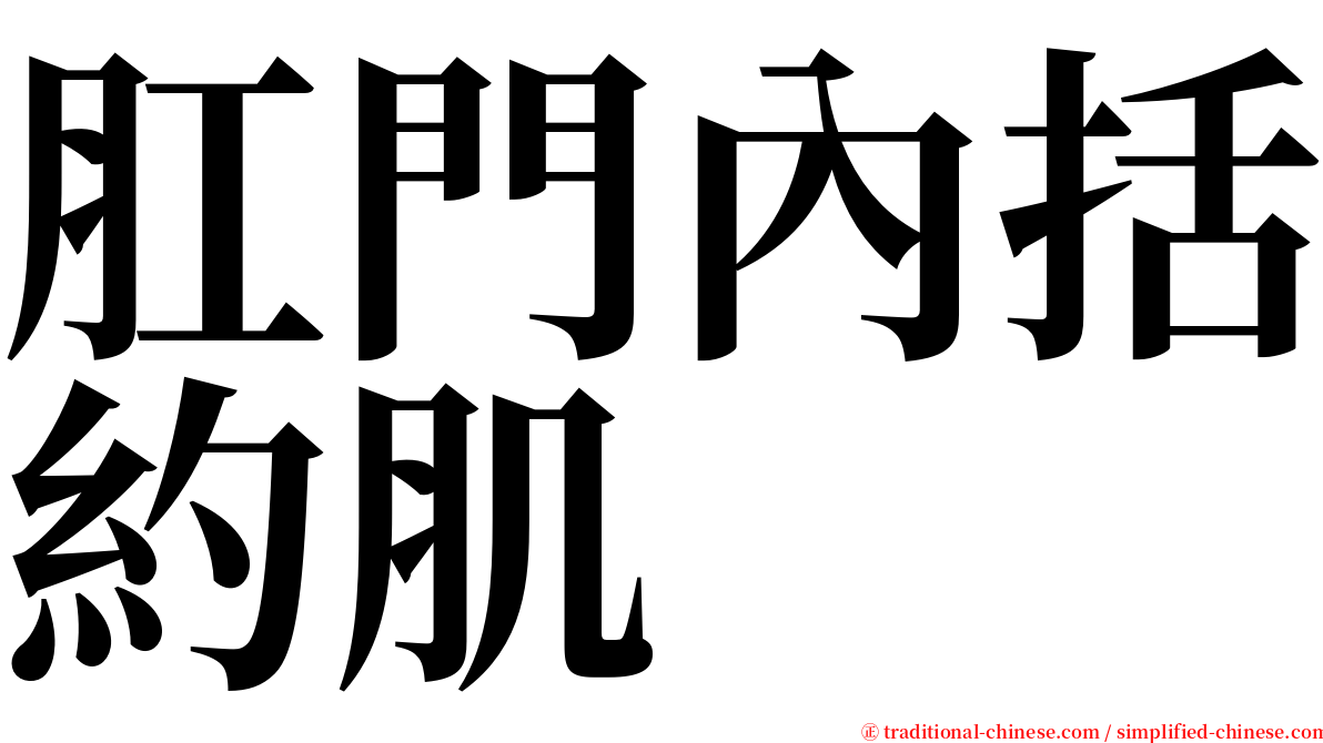 肛門內括約肌 serif font