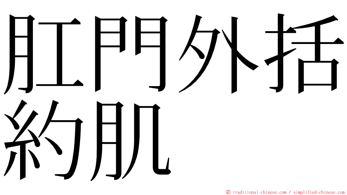 肛門外括約肌 ming font