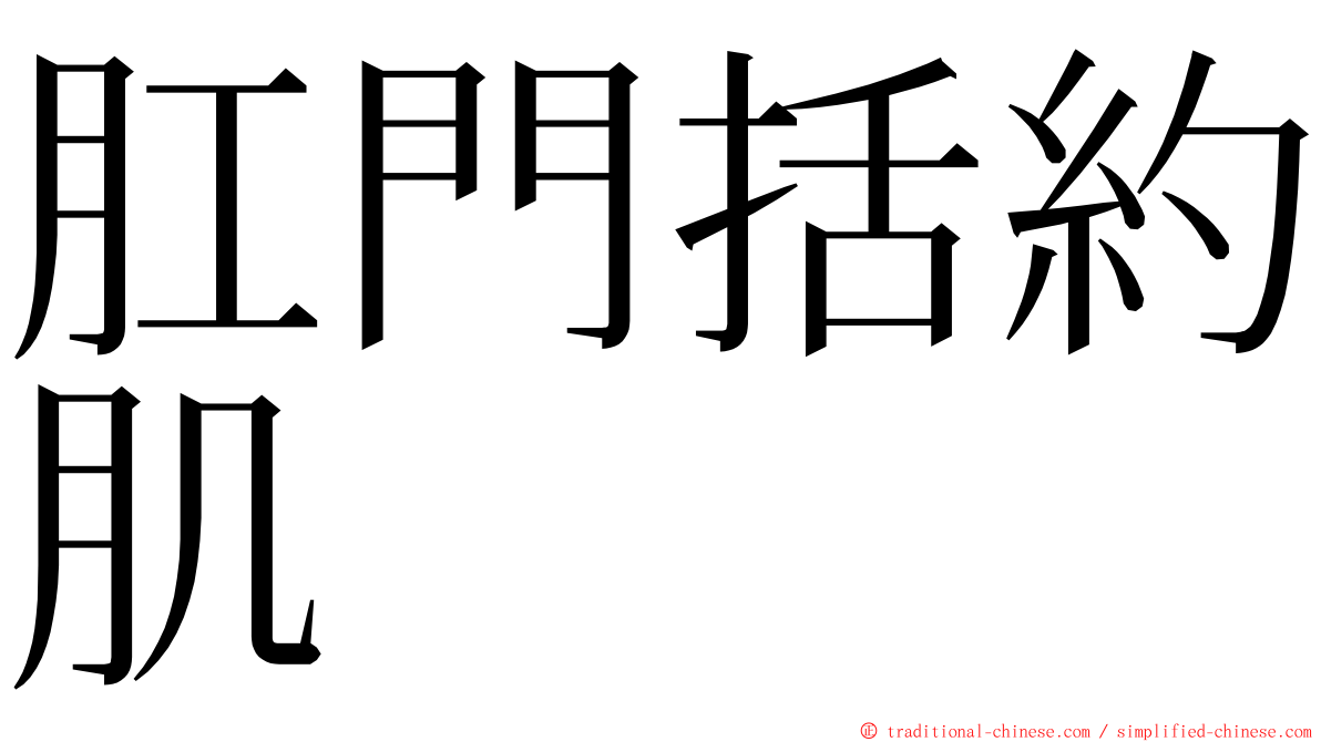 肛門括約肌 ming font