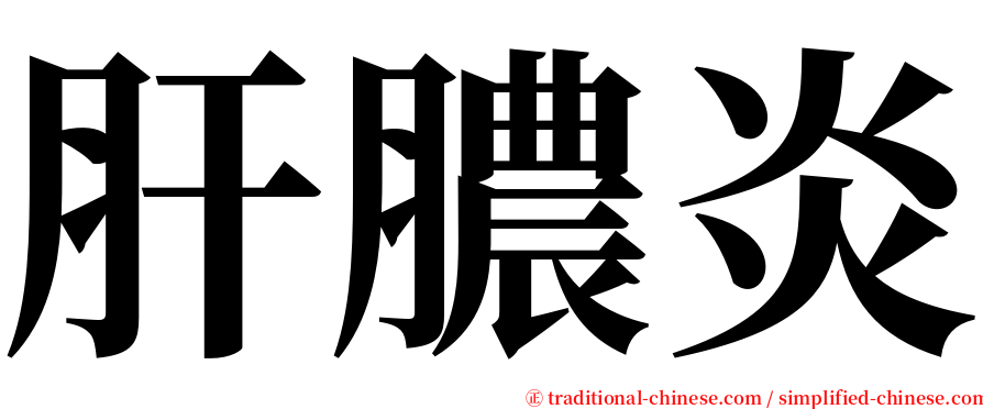 肝膿炎 serif font