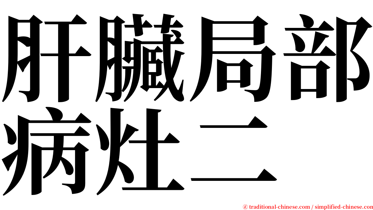 肝臟局部病灶二 serif font