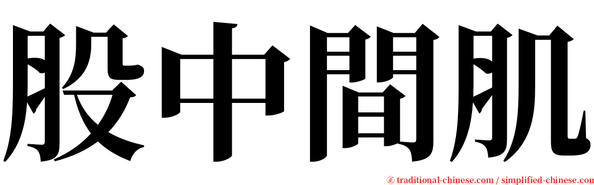 股中間肌 serif font