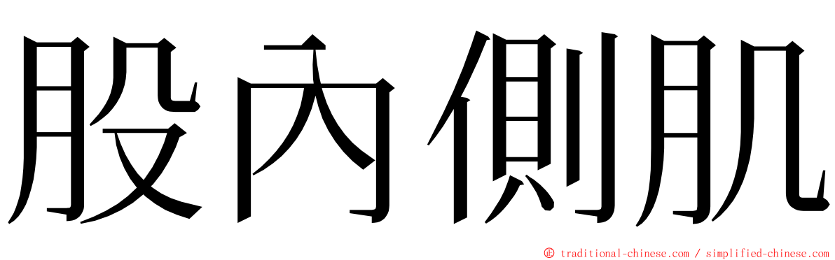 股內側肌 ming font