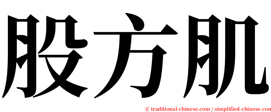 股方肌 serif font