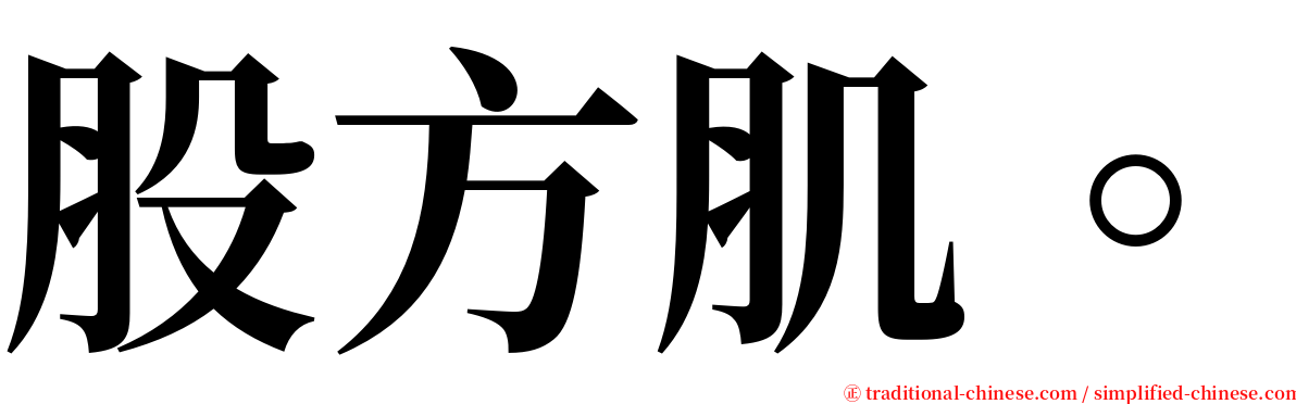 股方肌。 serif font