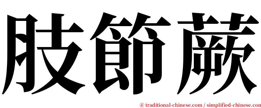 肢節蕨 serif font