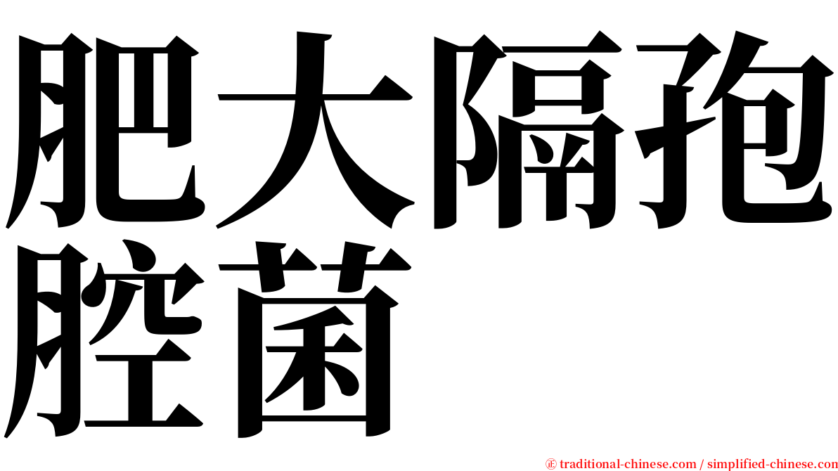肥大隔孢腔菌 serif font