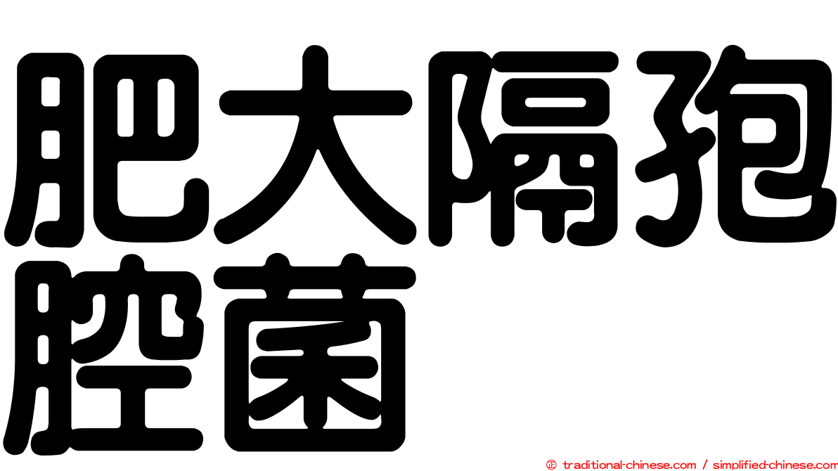 肥大隔孢腔菌