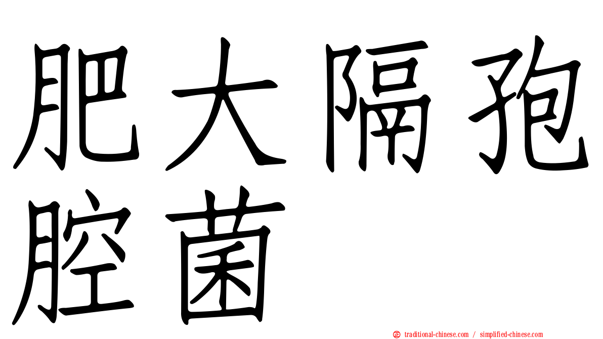 肥大隔孢腔菌