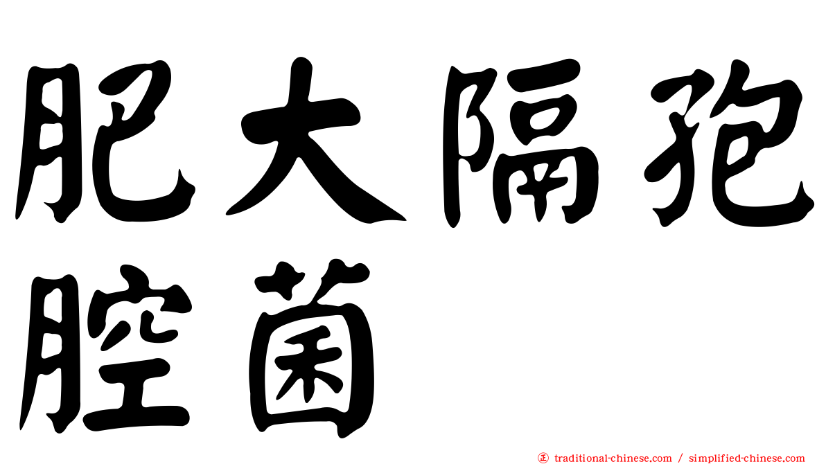 肥大隔孢腔菌