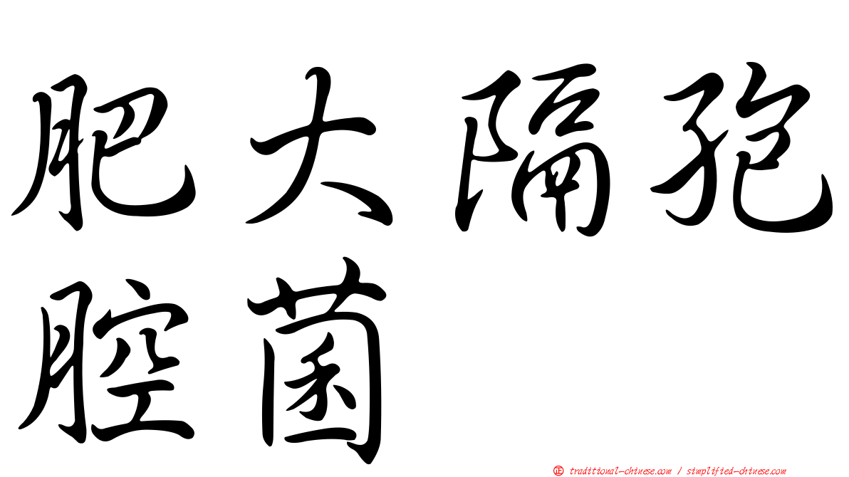 肥大隔孢腔菌