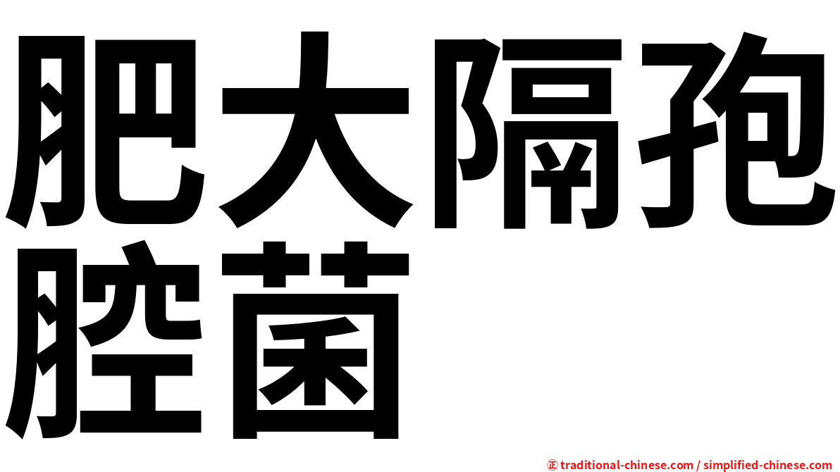 肥大隔孢腔菌