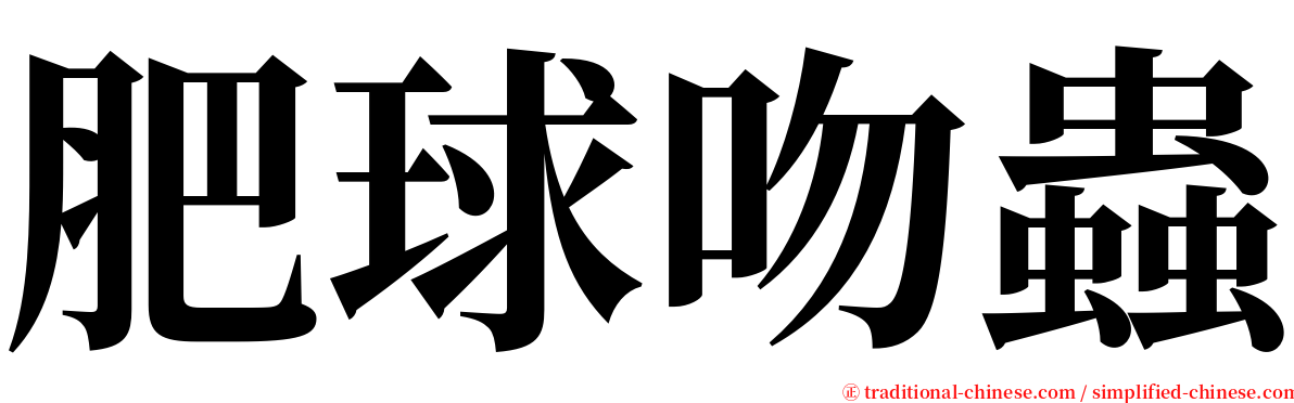 肥球吻蟲 serif font