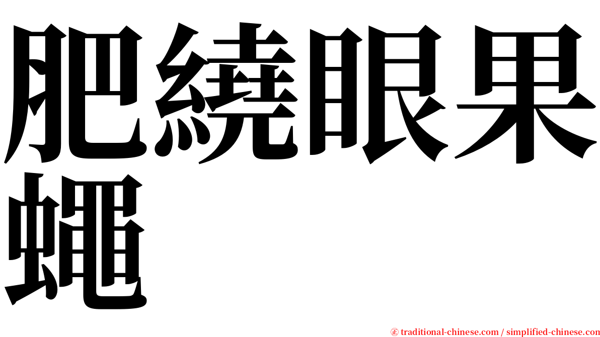 肥繞眼果蠅 serif font