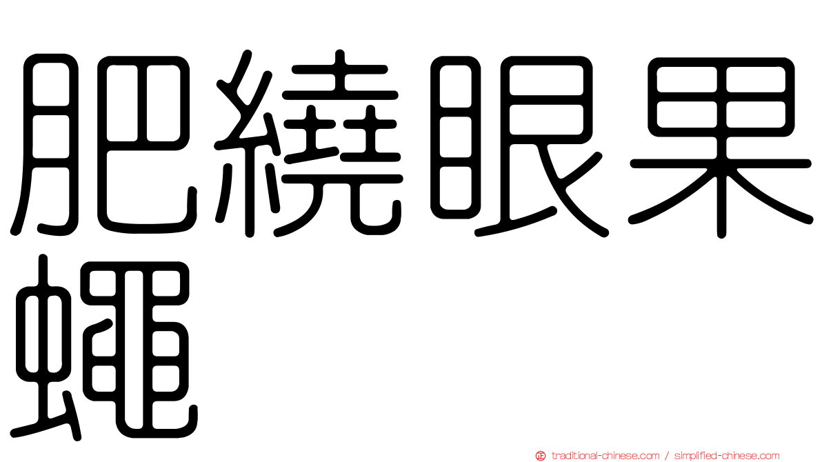 肥繞眼果蠅