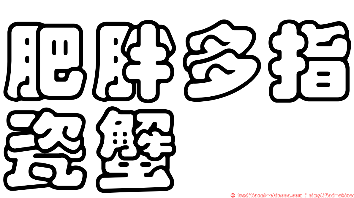 肥胖多指瓷蟹