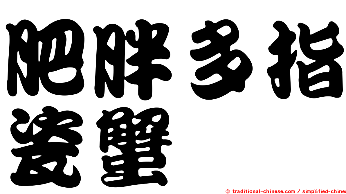 肥胖多指瓷蟹