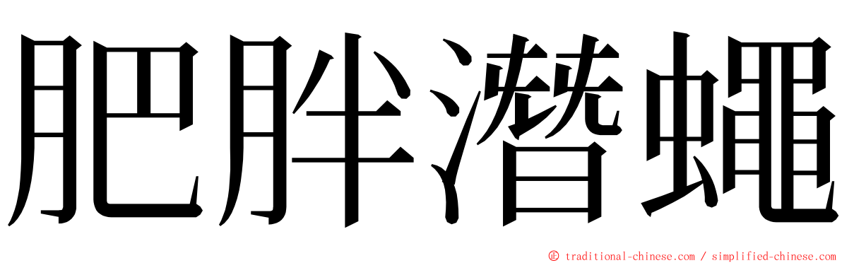 肥胖潛蠅 ming font