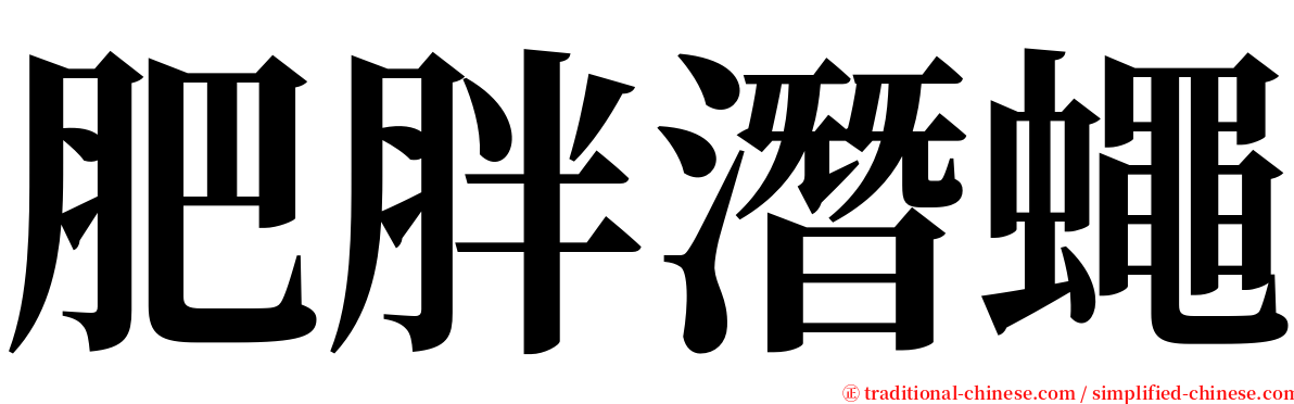 肥胖潛蠅 serif font