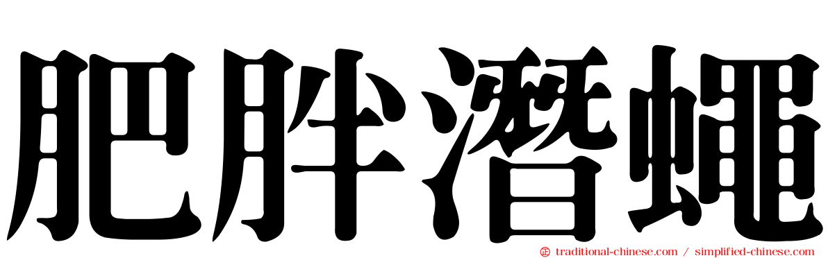 肥胖潛蠅